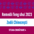 Carte remedii feng shui 2023 pentru zodiile chinezești, Steaua Zburătoare 4 livrare pe e-mail 