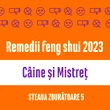 Carte remedii feng shui 2023 pentru zodiile Câine și Mistreț, Steaua Zburătoare 5 livrare pe e-mail
