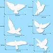Set 24 stickere păsări alb