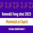 Carte remedii feng shui 2023 pentru zodiile Maimuță și Capră, Steaua Zburătoare 1, livrare pe e-mail