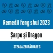 Carte remedii feng shui 2023 pentru zodiile Șarpe și Dragon, Steaua Zburătoare 3, livrare pe e-mail 