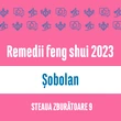 Carte remedii feng shui 2023 pentru zodia Șobolan, Steaua Zburătoare 9, livrare pe e-mail 