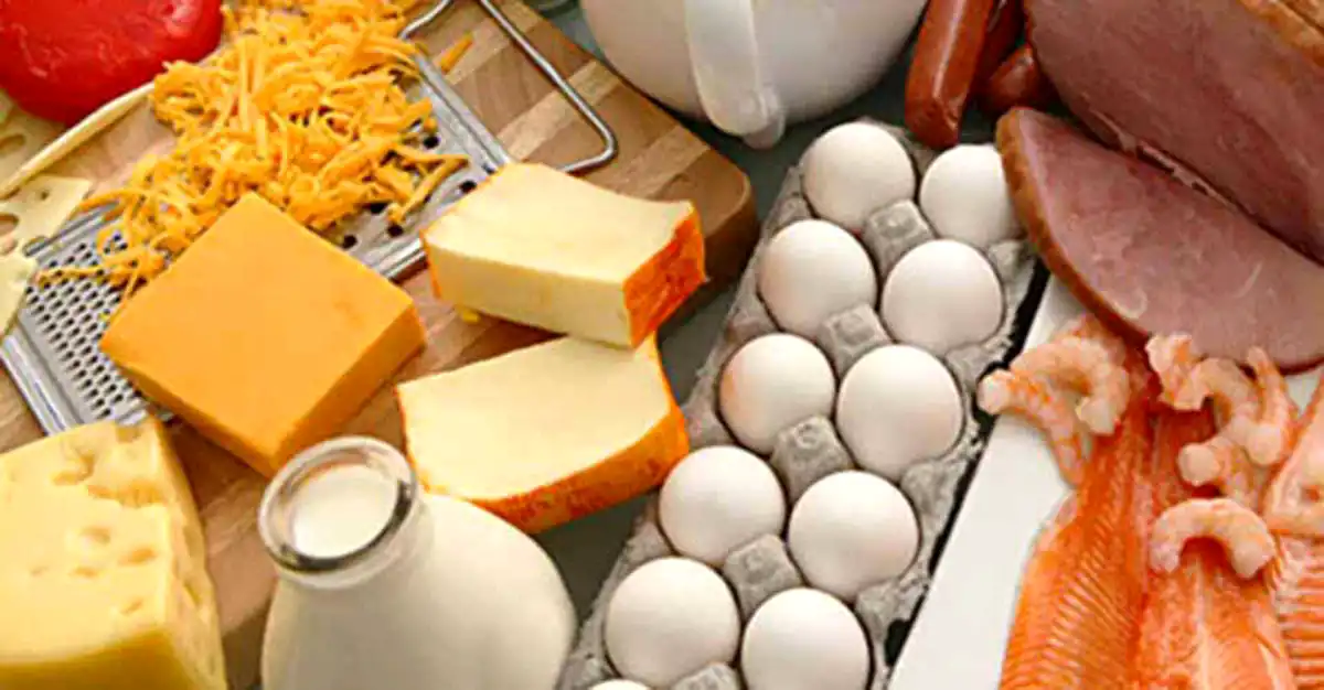 Alimente bogate în proteine – Dieta cu proteine