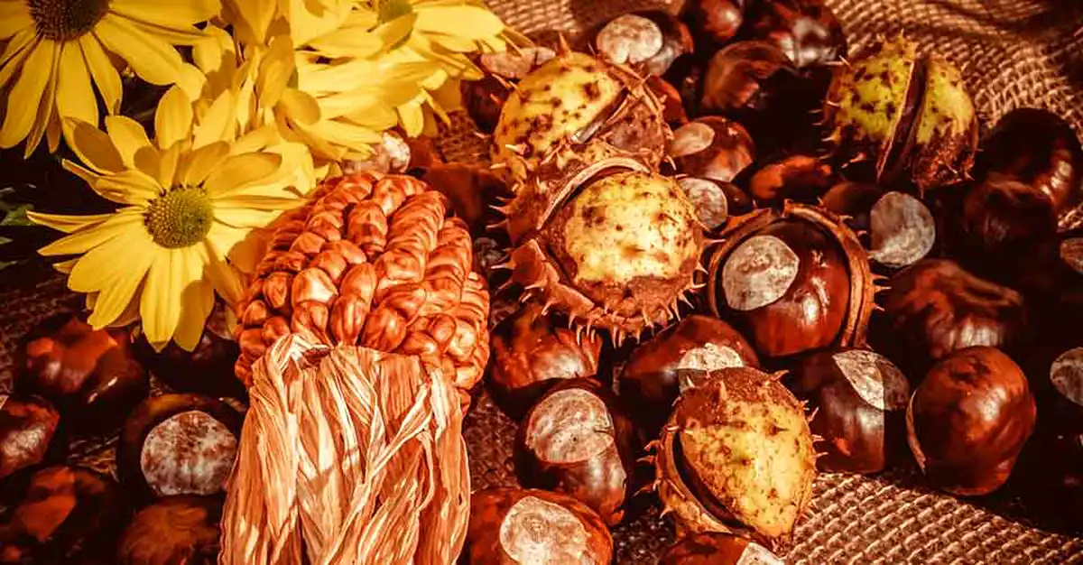 Întărirea sistemului imunitar cu castane - alimentele cu 0 gluten