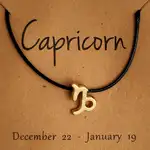 bratara zodie capricorn