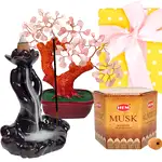 cadou fantana copacel conuri