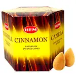 conuri backflow scortisaoara