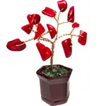 copacel cristale coral