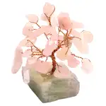 cuart roz copacei feng shui