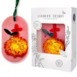 odorizant haine dulap 2