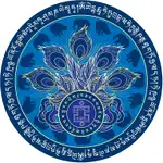 zodiacool sticker protectie