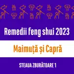 Carte remedii feng shui 2023 pentru zodiile Maimuță și Capră, Steaua Zburătoare 1, livrare pe e-mail