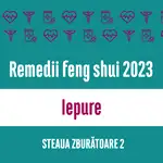 Carte remedii feng shui 2023 pentru zodia Iepure, Steaua Zburătoare 2, livrare pe e-mail
