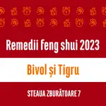 Carte remedii feng shui 2023 pentru zodiile Bivol și Tigru, Steaua Zburătoare 7 livrare pe e-mail 