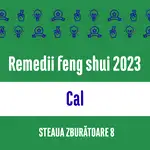 Carte remedii feng shui 2023 pentru zodia Cal, Steaua Zburătoare 8, livrare pe e-mail 