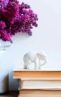 Elefant Feng Shui – simbol de putere și de depășire a obstacolelor