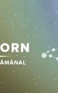 HOROSCOP SĂPTĂMÂNAL 11-17 Februarie 2019 pentru zodia Capricorn