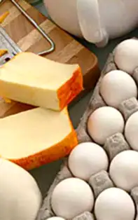 Alimente bogate în proteine – Dieta cu proteine