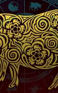 Remedii Feng Shui 2023. Cum să armonizezi energia din viața și casa ta