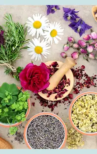 Arome dulci folosite în aromaterapie, beneficii ale florilor și plantelor afrodisiace