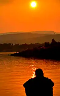 Astrograma prezivională pentru un an