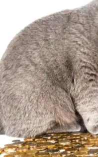 Câștiguri substanțiale pentru 5 zodii în următoarele luni. Cine sunt norocoșii