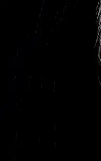 Horoscopul dragostei: top 3 bărbați care nu pot iubi!