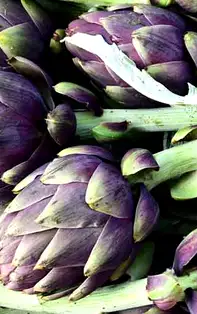 Anghinarea – alimentul cu puține calorii și cu rol crucial în sănătatea oaselor