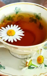 Mușețelul – planta medicinală cu efecte miraculoase asupra organismului