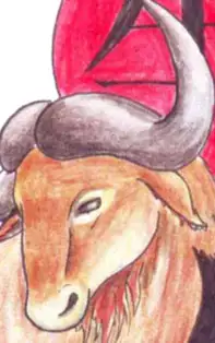 HOROSCOP CHINEZESC SĂPTĂMÂNAL 5-11 Martie 2018 pentru zodia Bivol