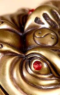 Broasca banilor sau broasca norocoasă Feng Shui, semnificații și așezare