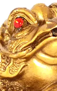 Învață unde să pui Chan Chu pentru a avea noroc la bani