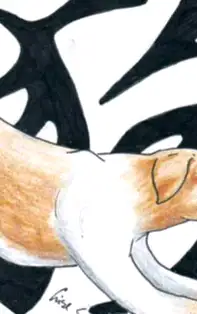 HOROSCOP CHINEZESC SĂPTĂMÂNAL 5-11 Martie 2018 pentru zodia Câine