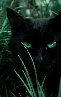 Calendar Iulie 2019. Zile pline de neprevăzut