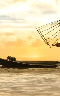 Carnea de pește – tot ce trebuie să știi pentru a scade riscul de boli cardiovasculare