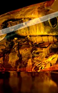 Misteriosul chihlimbar – ajutor extrem pentru ameliorarea durerilor de cap