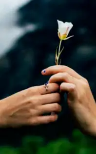 15 vorbe celebre ale cunoscutului psiholog Irvin Yalom – incomode, dar adevărate și intense