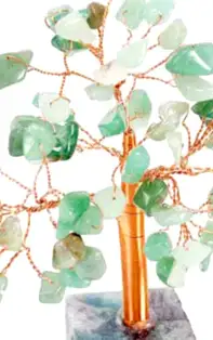 Copăcei Feng Shui pentru protecție și spor în casă