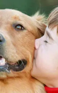 Ce animal de companie se potrivește cel mai bine pentru copilul tău