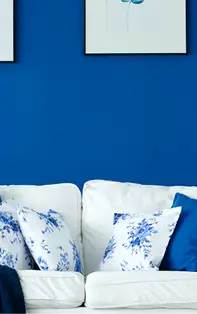 Culoarea Norocului în Feng Shui pentru 2024. Poart-o cu tine si bucura-te de abundenta