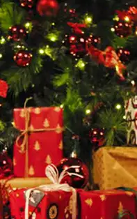 Cand se impodobeste bradul de Craciun in anul 2019, pentru a atrage mai multi bani