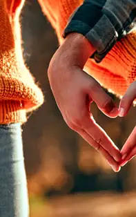 Ce zodie are cea mai buna compatibilitate cu Taurul