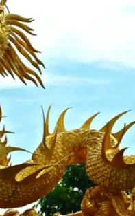 Dragonul chinezesc, simbol pentru prosperitate