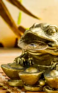 4 Energii pozitive care aduc noroc unor zodii chinezești în MAI 2018