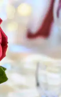 Critică în dragoste – Fecioară 