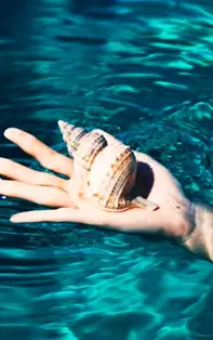 Simboluri feng shui. Nu vei regrata niciodata ca le-ai pus in casa