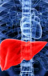 Apa și relația cu ficatul. Sfaturi unice pentru sănătate