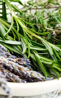 Cimbrul: „Tufa decorativă” cu puține calorii, care îți ține inima sănătoasă