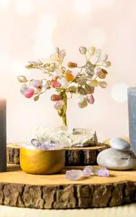 Formele în Feng Shui: Cum se utilizează în decorarea casei