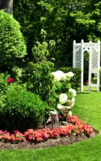 Cum să amenajezi grădina în stil Feng Shui. Plante, copaci, pomi fructiferi